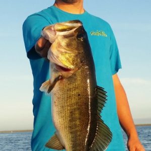 Blake100915 (360x640)