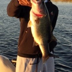 john person16 (243x464)