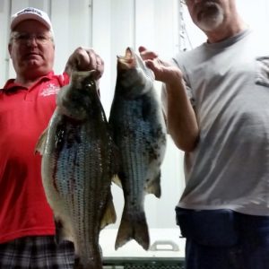 sunshine2016 (491x640)