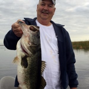 wade163 (480x640) (2)