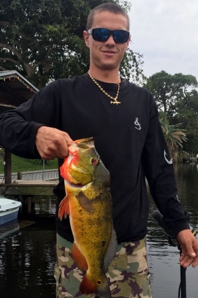 Peacock Bass Fishing Trips - Lake Okeechobee Bass Fishing Guides